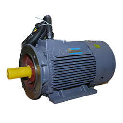 YD、YDT系列變極多速電動(dòng)機(jī)